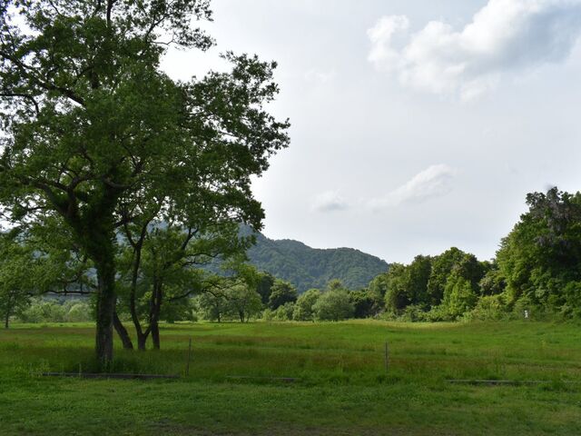 �ٓ��s�����L�����v��@�Ĉ�͐����