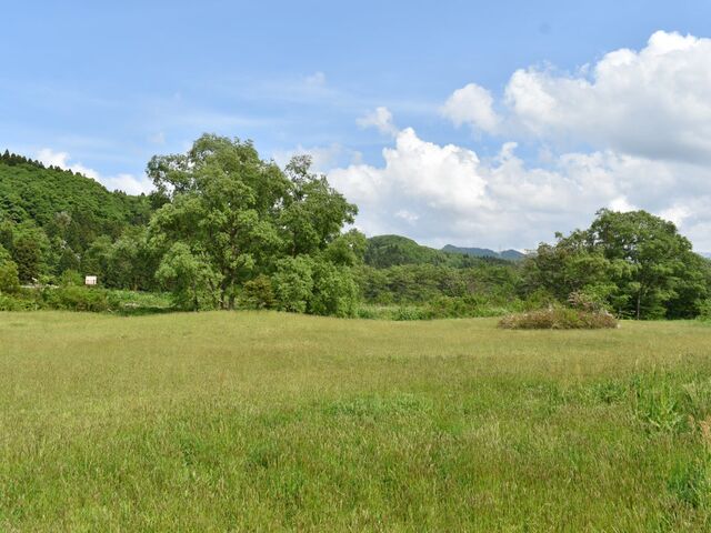 �ٓ��s�����L�����v��@�Ĉ�͐����