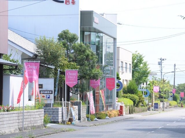 �D���q���Y�̎ʐ^1