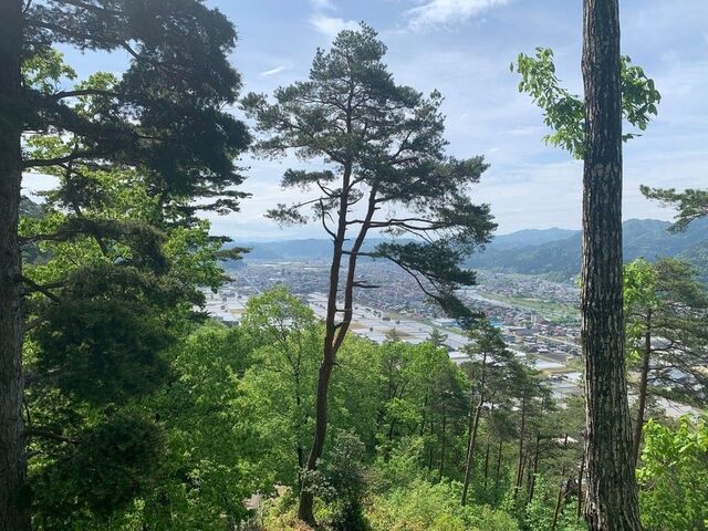 ������Ղ̎ʐ^1