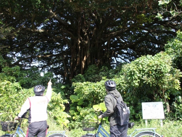 e-�T�C�N�������ό��c�A�[�̎ʐ^1