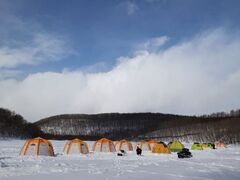 �T�z���΃��J�T�M�ނ�̎ʐ^