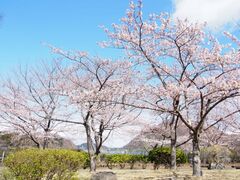 �{�������̎ʐ^1