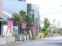 �D���q���Y�̎ʐ^1