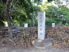 ���؍ԐՂ̎ʐ^1