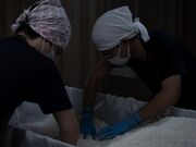 ���ˎ𑢂̎ʐ^4