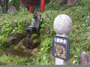 ���_���̎ʐ^2