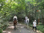 �T���u���b�h�ɏ���I�R���ŏ�n�̌��̎ʐ^2