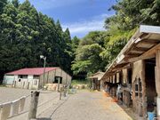 �T���u���b�h�ɏ���I�R���ŏ�n�̌��̎ʐ^3