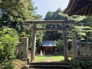 �I�v�R�����Ђ̎ʐ^2