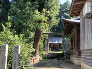 �I�v�R�����Ђ̎ʐ^3