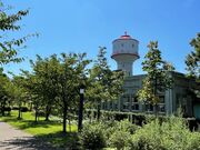 ���������̎ʐ^3