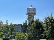 ���������̎ʐ^4