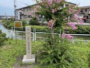 �ɓ����E�q��̔�̎ʐ^4