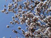 ���҃��������̍��̎ʐ^3