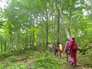 ����ǂ�s���̐X�̎ʐ^2