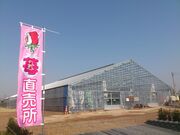 ���c���a�_���C�`�S���̎ʐ^3