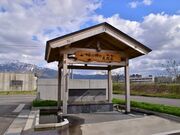 ���������̎ʐ^2