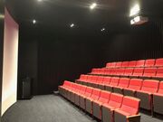 ���������̎ʐ^4