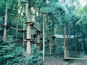 �A�h�x���`���[�K�[�f���\���̎ʐ^3