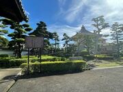 �������̎ʐ^2