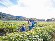 �����_�p�[�N�t����̎ʐ^2