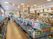 ���̉w��悢�@��悢�̓��̎ʐ^2