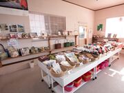 �r�E�{�[���̎ʐ^3