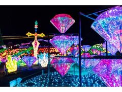 �ɓ������O�����C���~�`9th�V�[�Y���`�iIZUKOGEN GRANILLUMI�`9th SEASON�`�j�̎ʐ^1