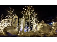 �X�Ɠ���̍ՓT2025�̎ʐ^1