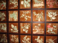 Ԃ̓V@H̓ʔqς̎ʐ^1