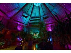 GARDEN FEST �|Summer�|�����ƖY��Ȃ��Ă̎ʐ^1