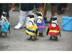 ]tH[Qp[Nċx݃Cxg̎ʐ^1