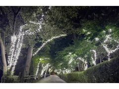 �ۋT��L���b�X�����[�h Reborn 2025�|2026�̎ʐ^1