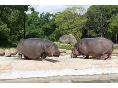 �̂�ق��p�[�N�@�S�[���f���E�B�[�N�C�x���g�̎ʐ^1