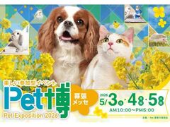 Pet��2026�����̎ʐ^1