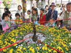 ���c�R�Ԃ܂�@�Ԍ䓰�����̎ʐ^1