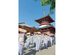 ���c�R���a�哃�܂��[���x��̎ʐ^1