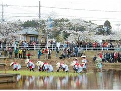 ����_�{�@��c�A�Ղ̎ʐ^1