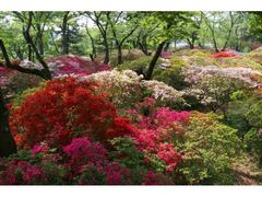 ���܂�i���������j�̎ʐ^1