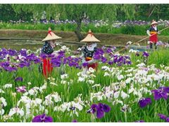 ������������ߍՂ�̎ʐ^1