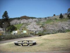 ���_�̂��Ƃ̂�����̎ʐ^1