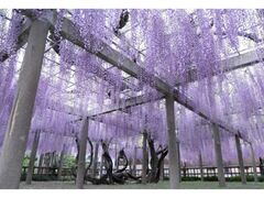 �������u�痴�̓��v�̎ʐ^1