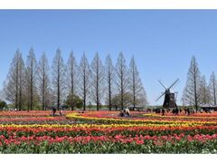 �͂Ȃ€�t�܂�̎ʐ^1