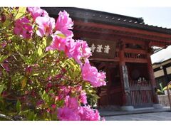 �����O�t���@�J�Ԃ̎ʐ^1