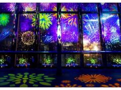 TOKYO TOWER CITY LIGHT FANTASIA �`Summer landscape 2026�`�̎ʐ^1