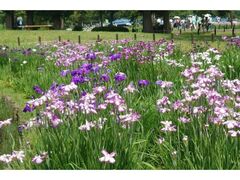 �����Ҋ��܂�̎ʐ^1