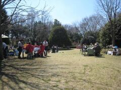 �t�̃e�B�[�p�[�e�B�|���E�̂������y�������|�̎ʐ^1