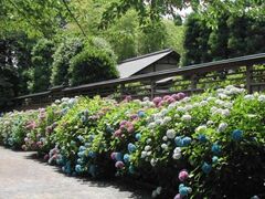 ���y�̐X�@���������܂�̎ʐ^1