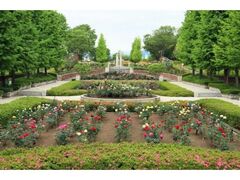 �H��������̏t�o���̎ʐ^1